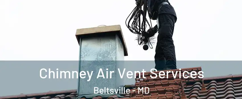 Chimney Air Vent Services Beltsville - MD