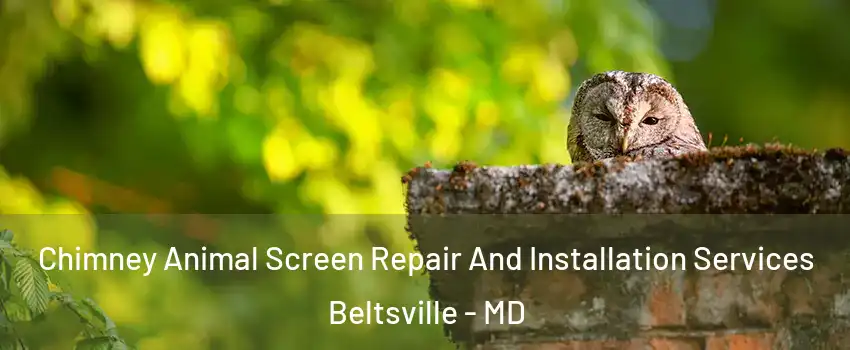 Chimney Animal Screen Repair And Installation Services Beltsville - MD