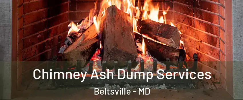  Chimney Ash Dump Services Beltsville - MD