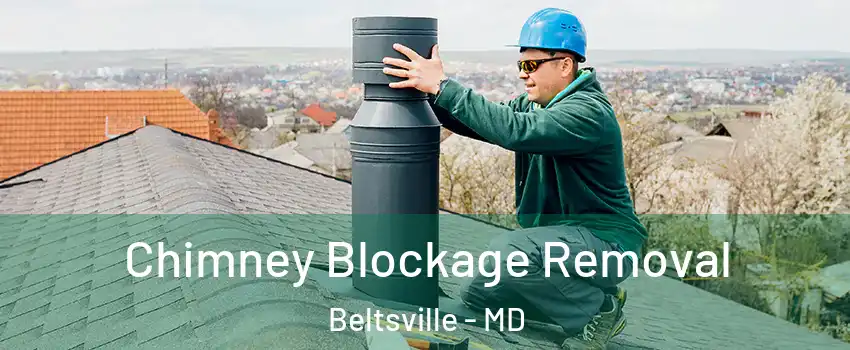  Chimney Blockage Removal Beltsville - MD
