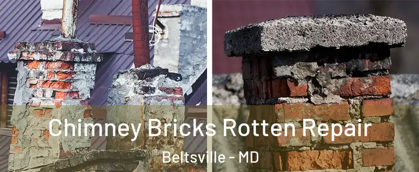 Chimney Bricks Rotten Repair Beltsville - MD