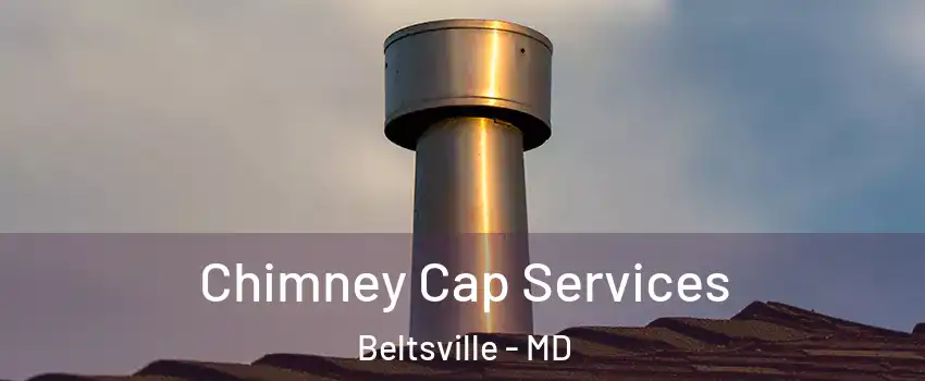 Chimney Cap Services Beltsville - MD