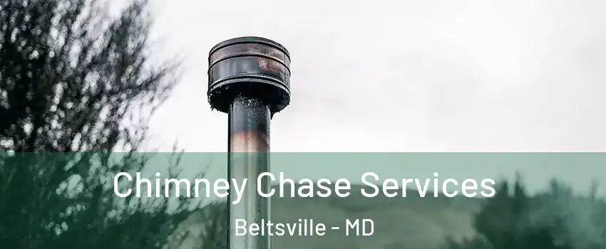  Chimney Chase Services Beltsville - MD