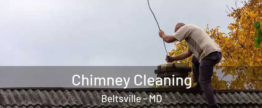 Chimney Cleaning Beltsville - MD