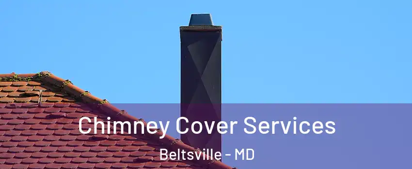 Chimney Cover Services Beltsville - MD