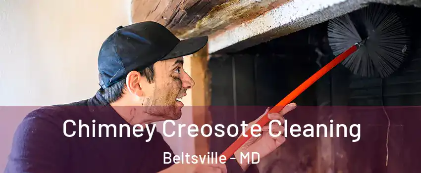  Chimney Creosote Cleaning Beltsville - MD