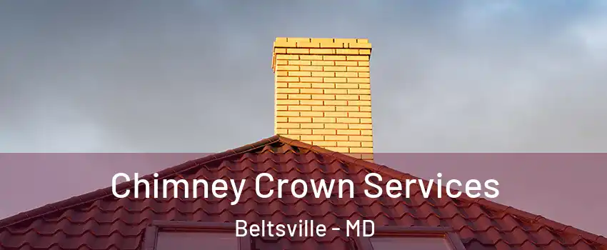  Chimney Crown Services Beltsville - MD