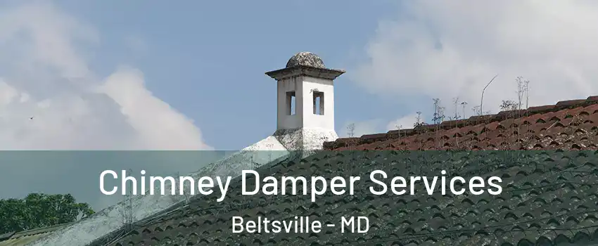 Chimney Damper Services Beltsville - MD