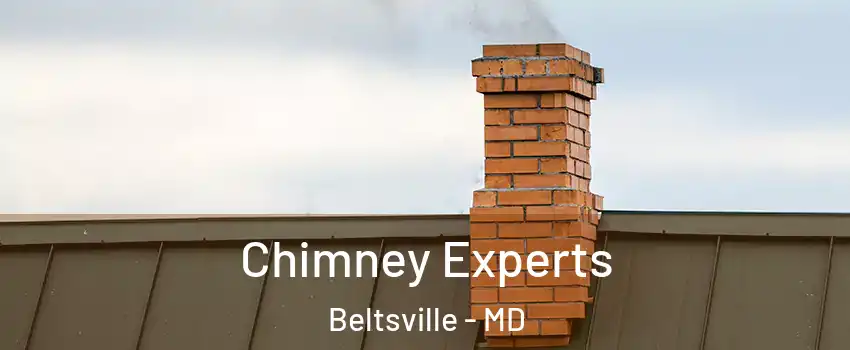Chimney Experts Beltsville - MD