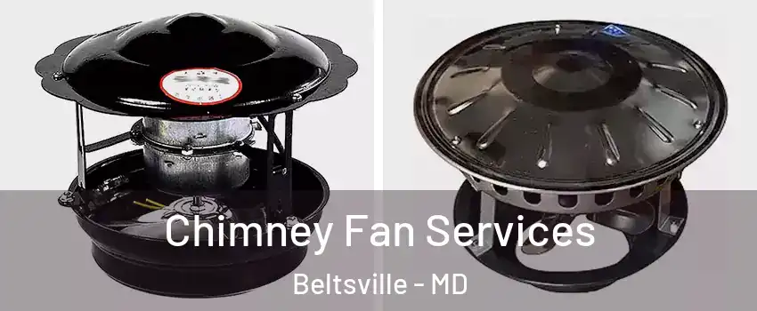 Chimney Fan Services Beltsville - MD