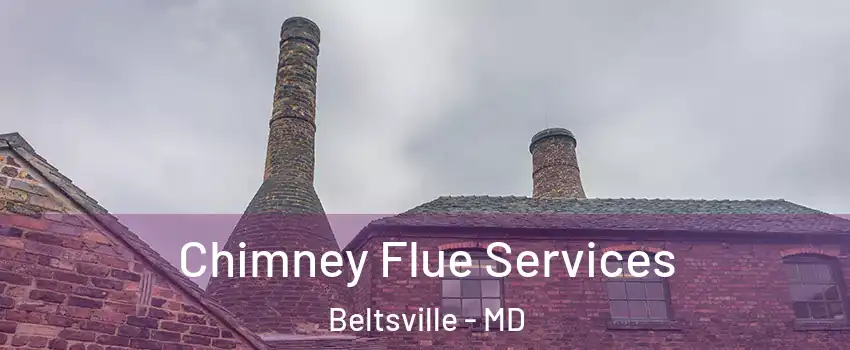 Chimney Flue Services Beltsville - MD