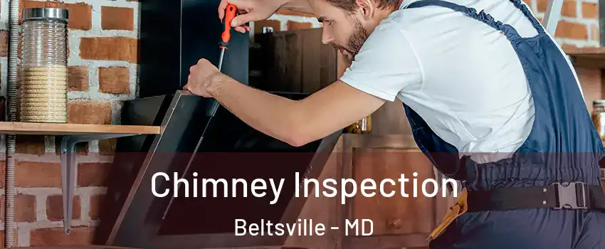  Chimney Inspection Beltsville - MD