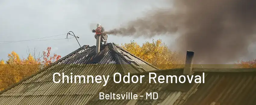 Chimney Odor Removal Beltsville - MD