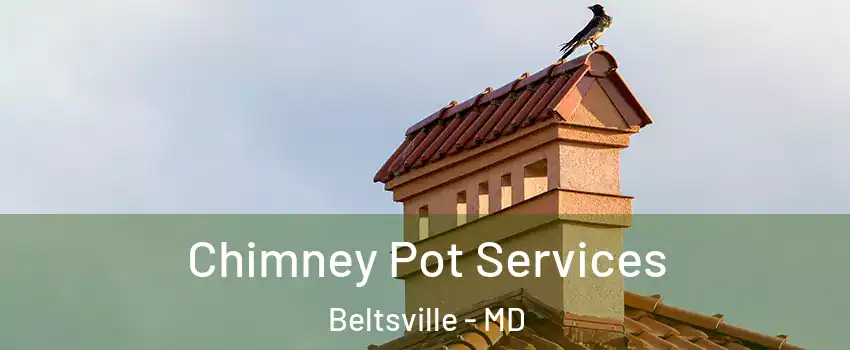 Chimney Pot Services Beltsville - MD