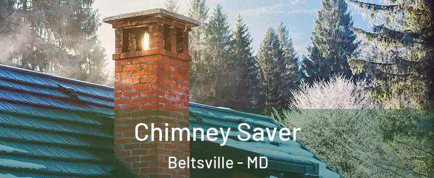 Chimney Saver Beltsville - MD