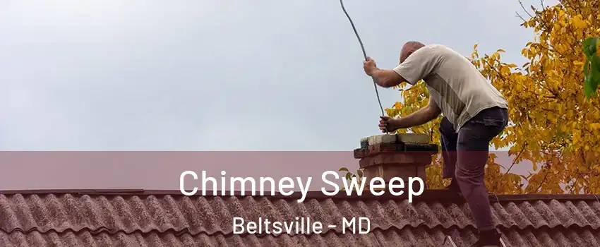 Chimney Sweep Beltsville - MD