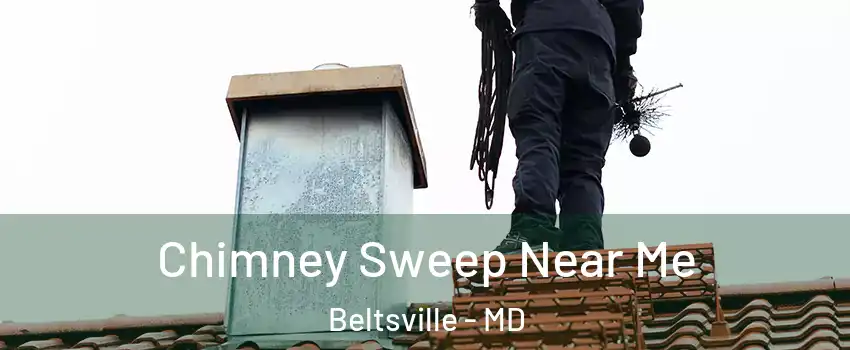Chimney Sweep Near Me Beltsville - MD