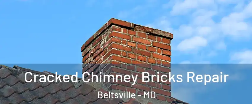 Cracked Chimney Bricks Repair Beltsville - MD