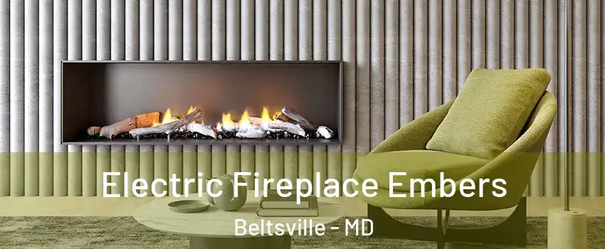  Electric Fireplace Embers Beltsville - MD