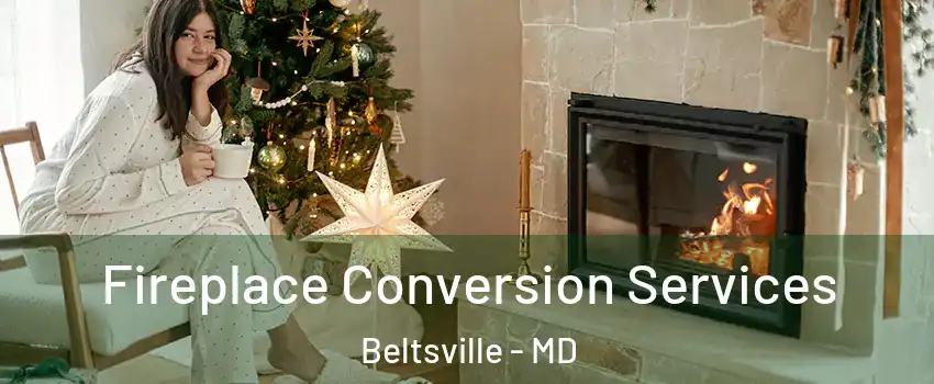 Fireplace Conversion Services Beltsville - MD