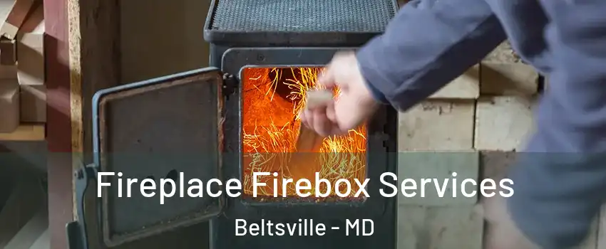 Fireplace Firebox Services Beltsville - MD