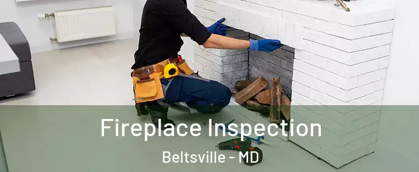 Fireplace Inspection Beltsville - MD