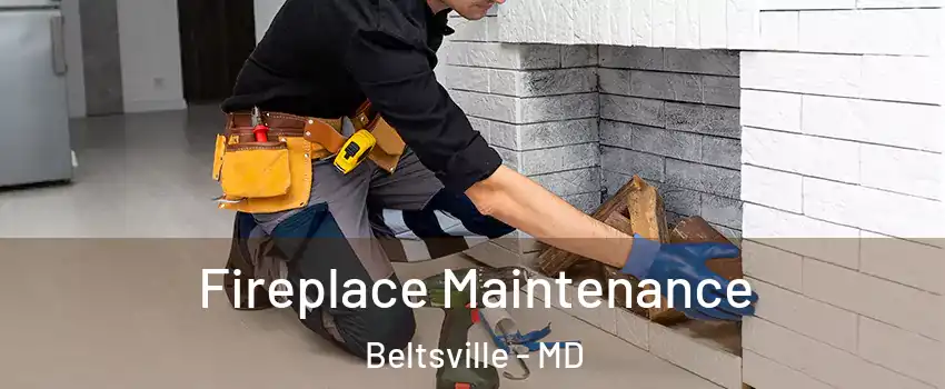 Fireplace Maintenance Beltsville - MD