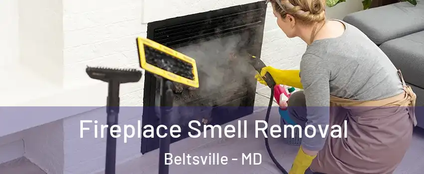 Fireplace Smell Removal Beltsville - MD