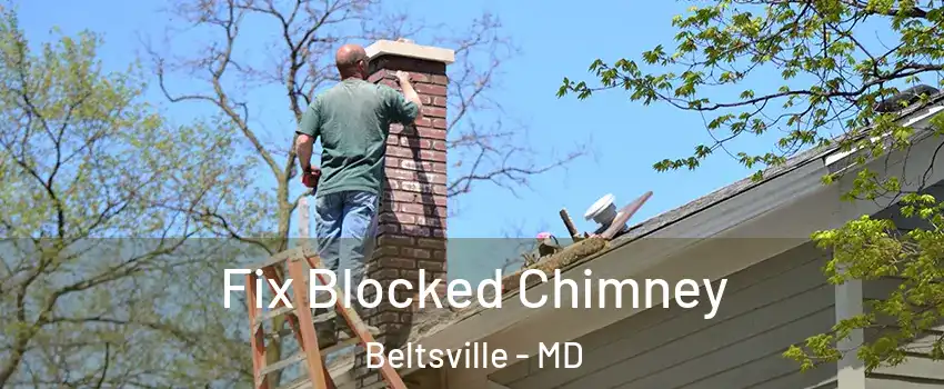 Fix Blocked Chimney Beltsville - MD