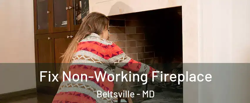 Fix Non-Working Fireplace Beltsville - MD