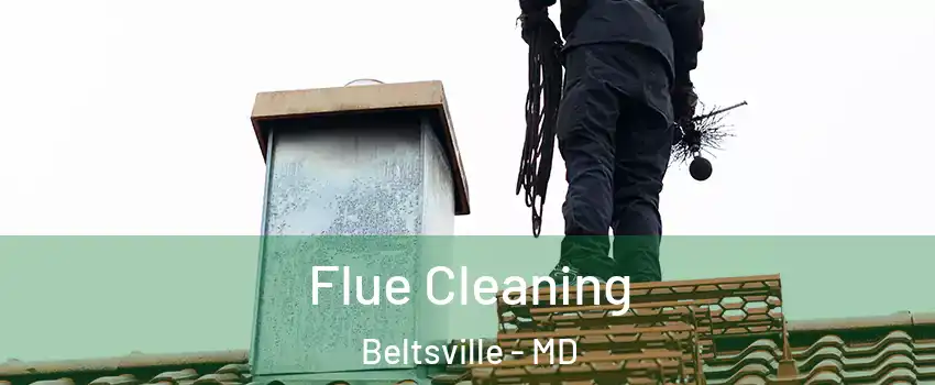 Flue Cleaning Beltsville - MD