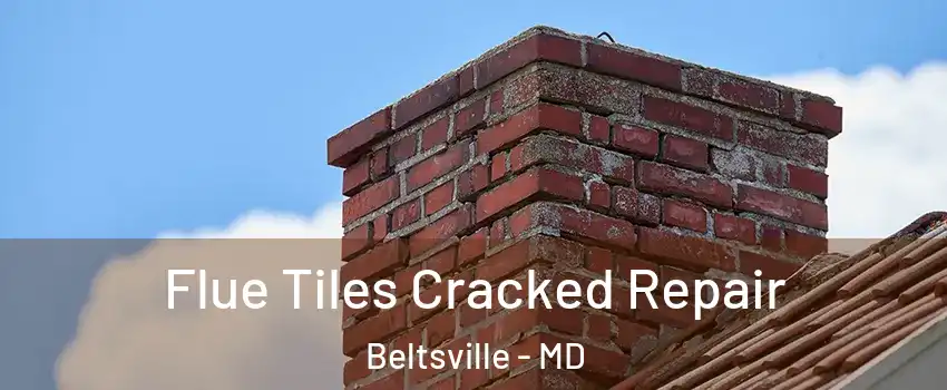 Flue Tiles Cracked Repair Beltsville - MD
