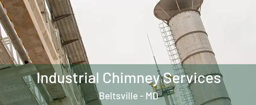 Industrial Chimney Services Beltsville - MD