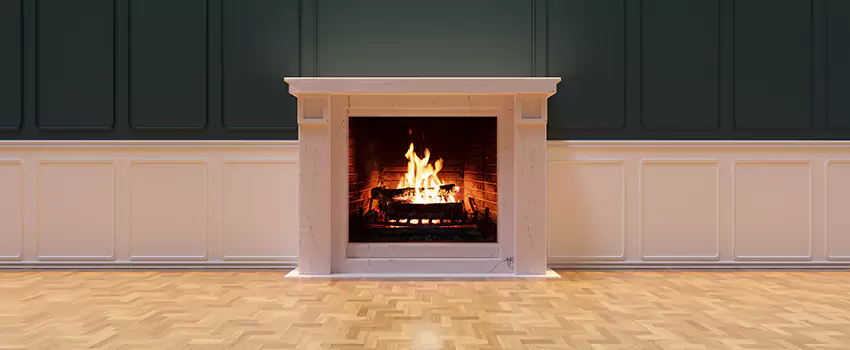 Napoleon Electric Fireplaces Inspection Service in Beltsville, Maryland