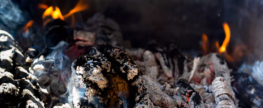 Creosote Removal Experts in Beltsville, MD