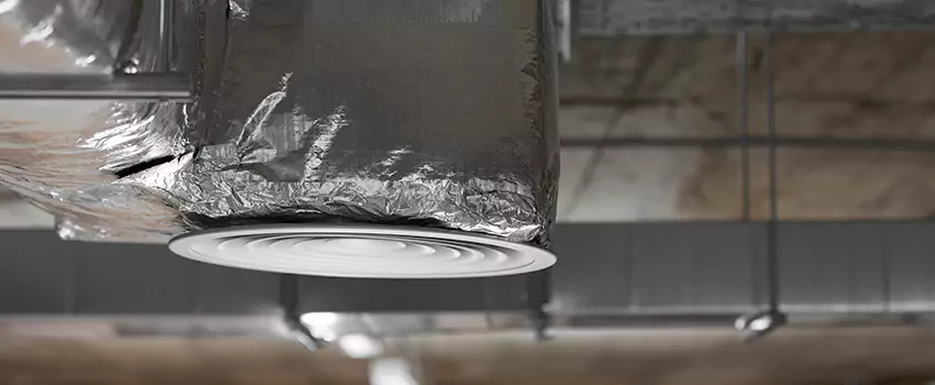 Signs of Dust Accumulation in Vents in Beltsville, MD