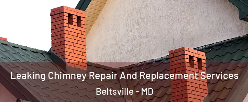 Leaking Chimney Repair And Replacement Services Beltsville - MD