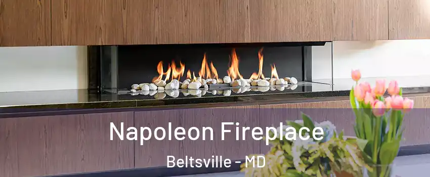 Napoleon Fireplace Beltsville - MD