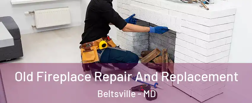 Old Fireplace Repair And Replacement Beltsville - MD