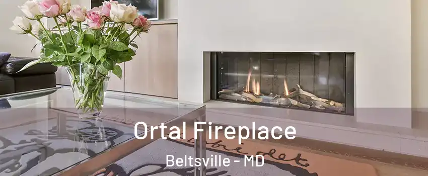 Ortal Fireplace Beltsville - MD