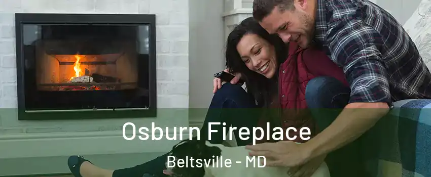  Osburn Fireplace Beltsville - MD