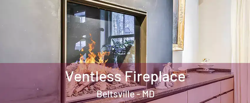 Ventless Fireplace Beltsville - MD