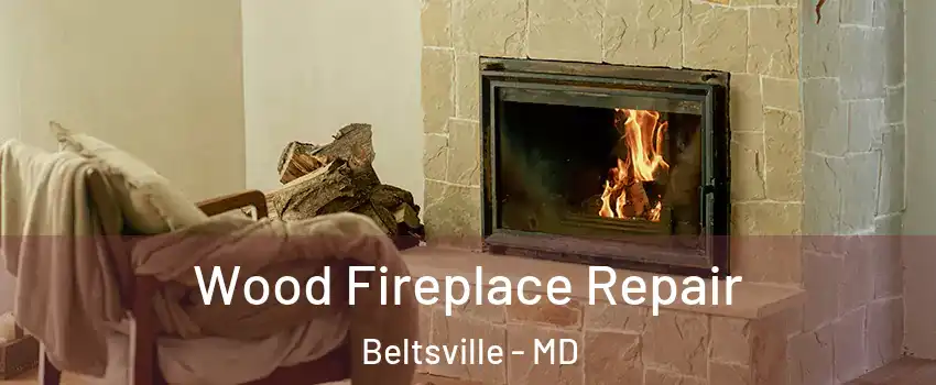 Wood Fireplace Repair Beltsville - MD