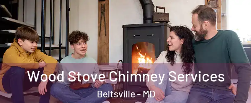Wood Stove Chimney Services Beltsville - MD